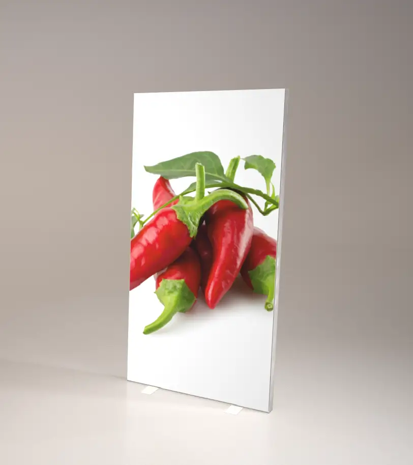 Seg Lightbox